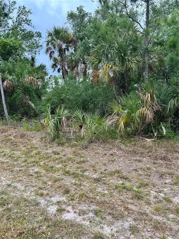 361 & 369 Juper Street Port Charlotte FL 33953