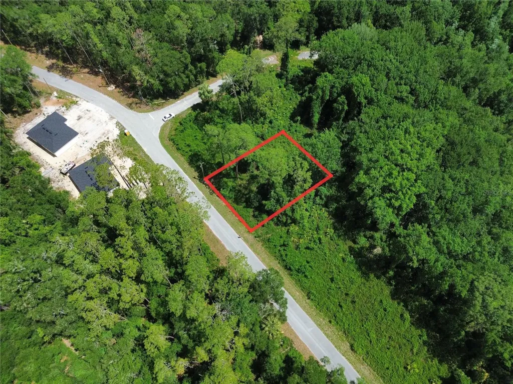 Tbd Locust Run Drive Ocala FL 34472