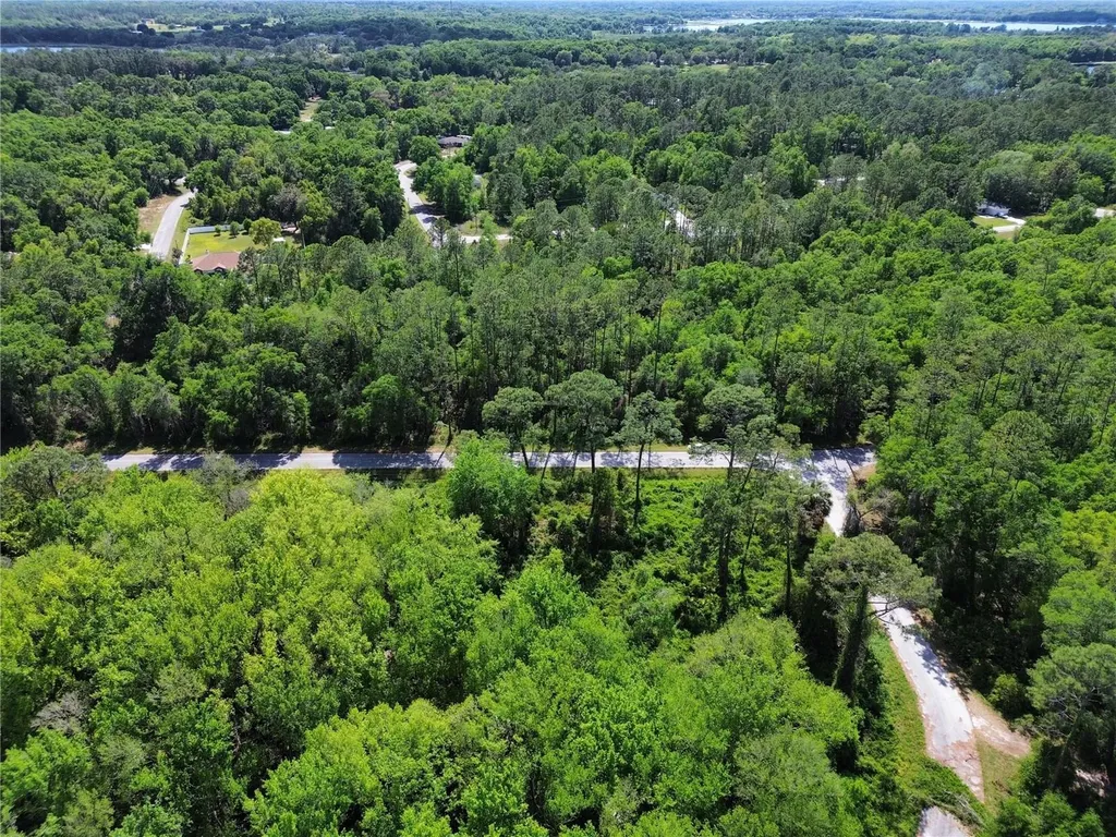 Tbd Locust Run Drive Ocala FL 34472