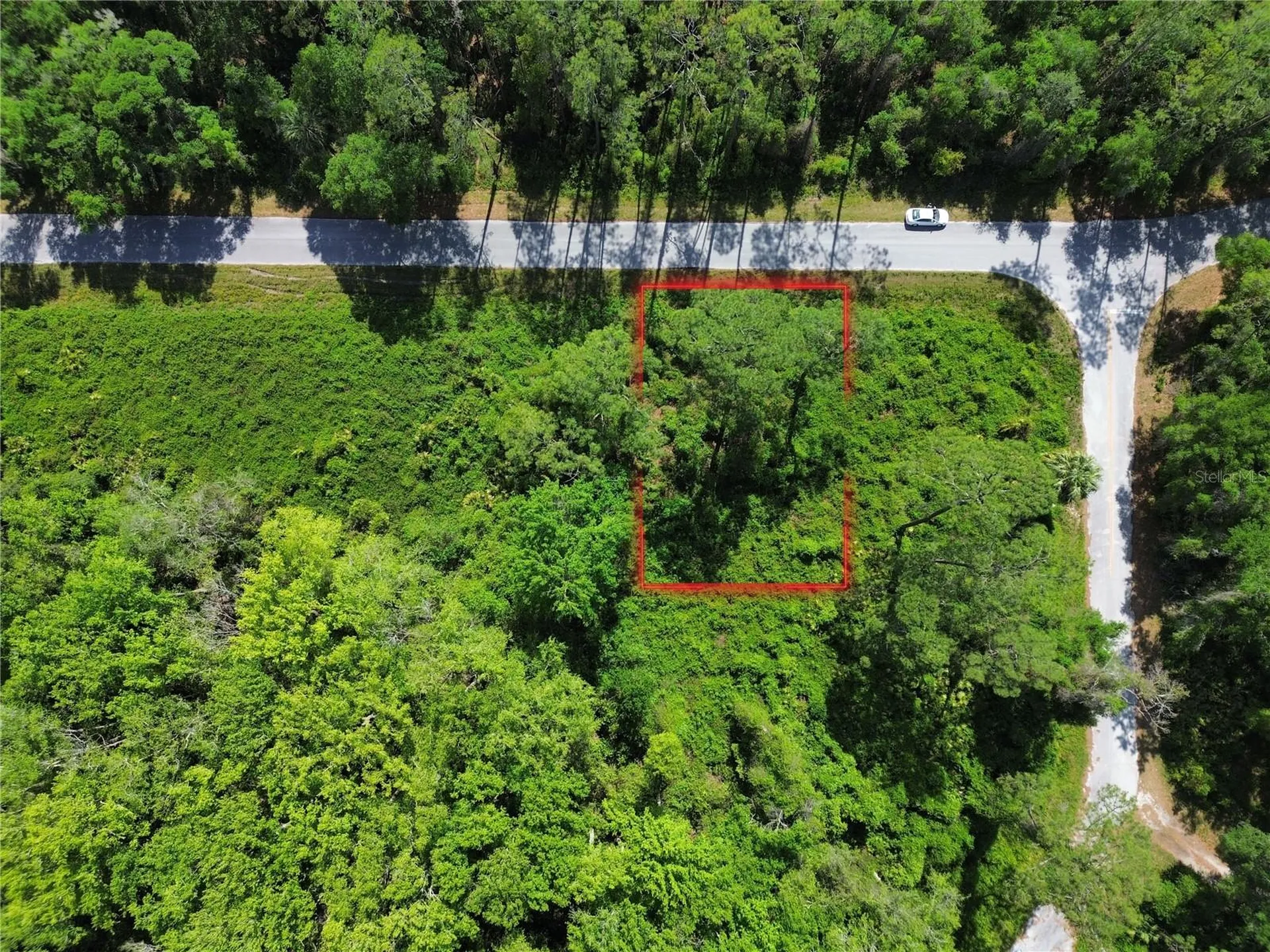 Tbd Locust Run Drive Ocala FL 34472