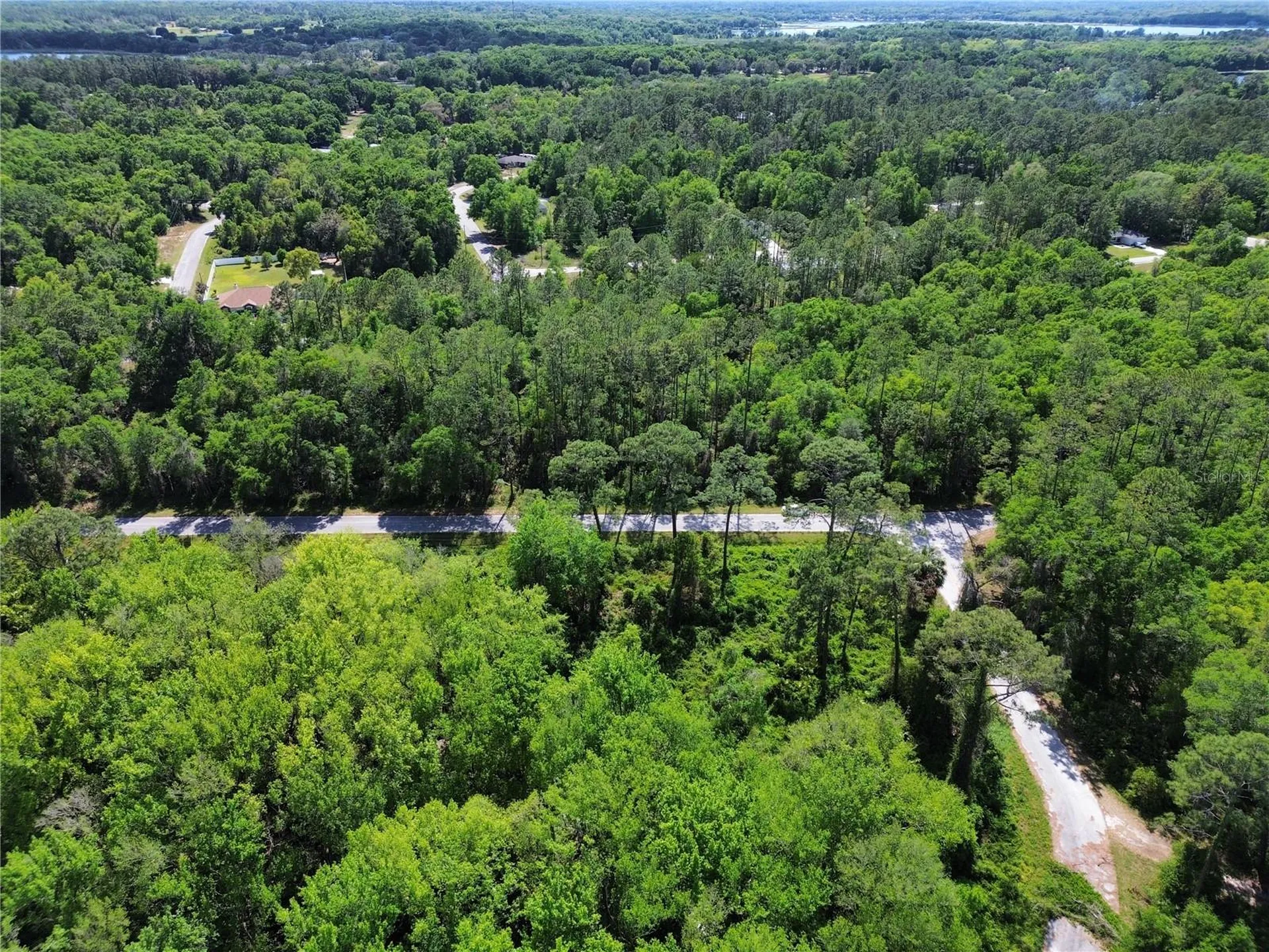 Tbd Locust Run Drive Ocala FL 34472