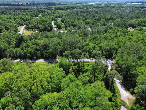 Tbd Locust Run Drive Ocala FL 34472