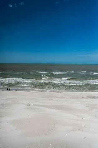 18650 Gulf Boulevard Indian Shores FL 33785