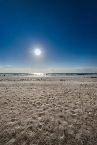 18650 Gulf Boulevard Indian Shores FL 33785