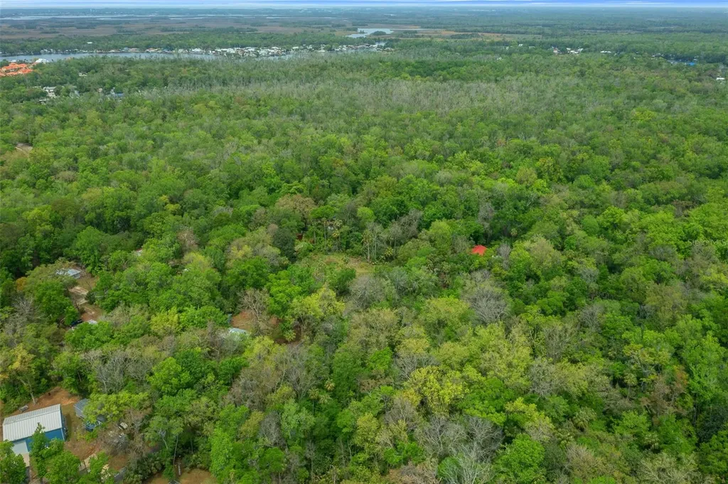 5043 S Palo Verde Point Homosassa FL 34448