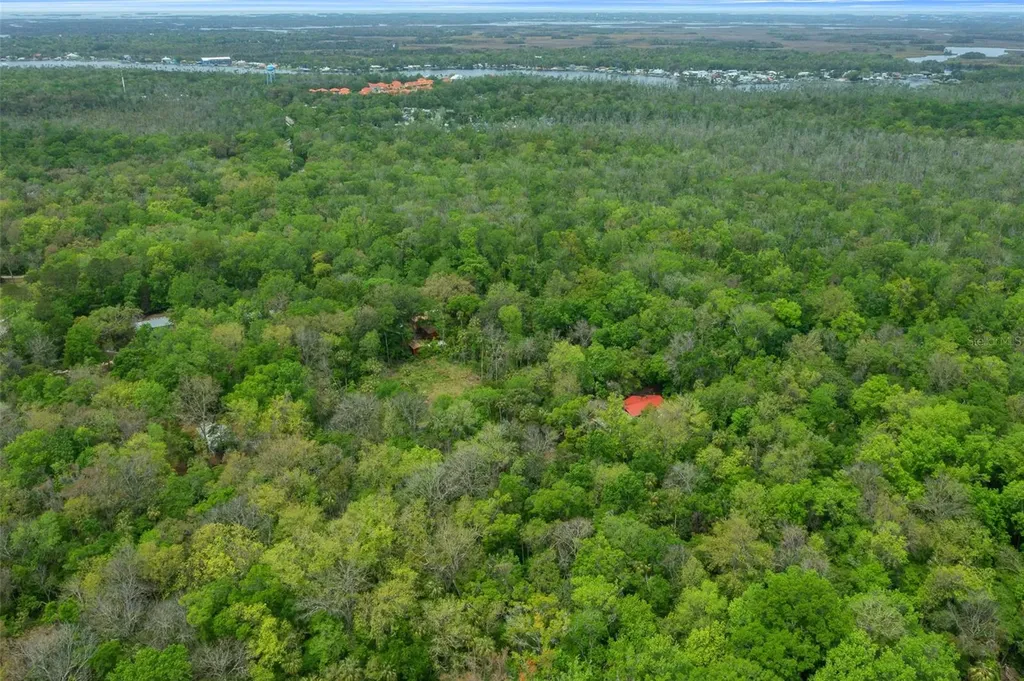 5043 S Palo Verde Point Homosassa FL 34448