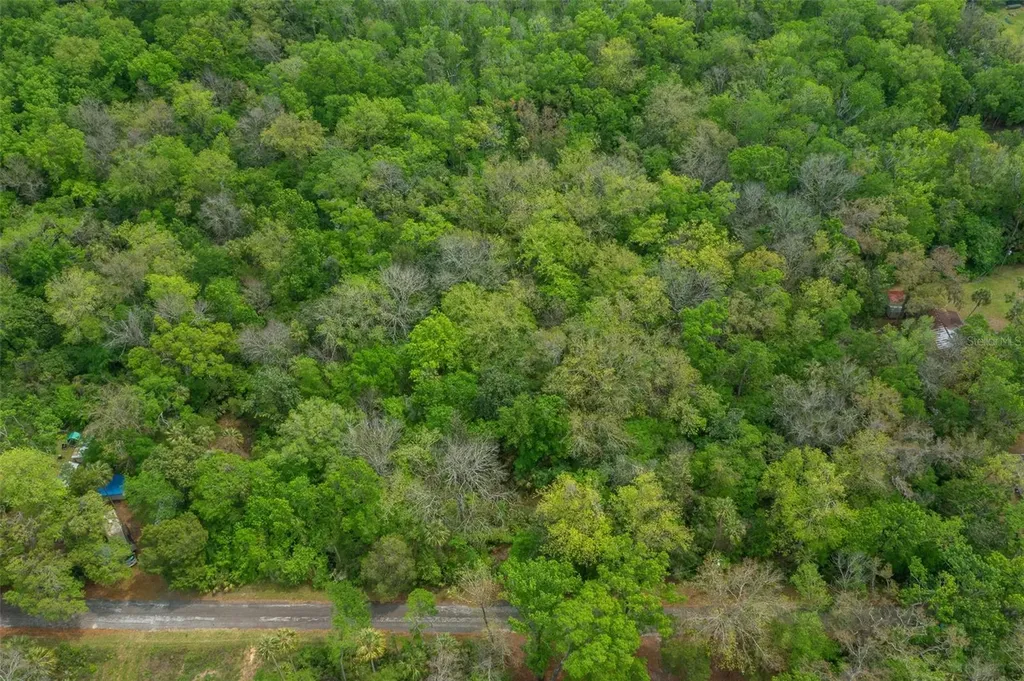 5043 S Palo Verde Point Homosassa FL 34448