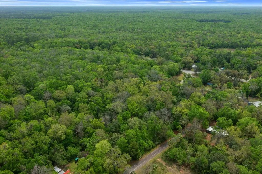 5043 S Palo Verde Point Homosassa FL 34448