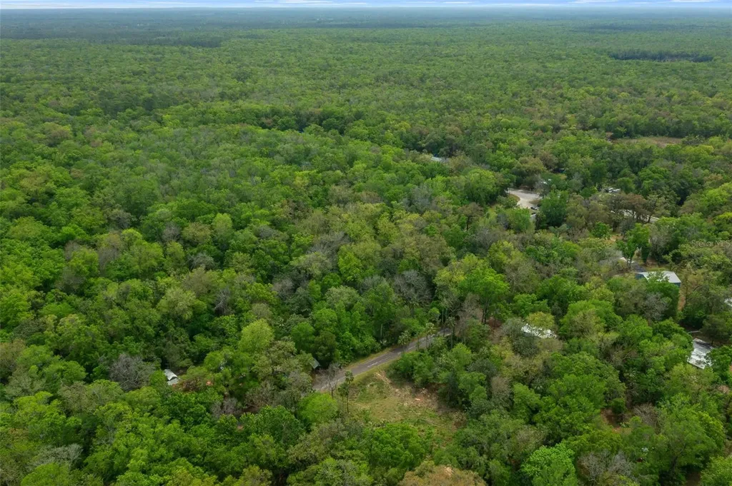 5043 S Palo Verde Point Homosassa FL 34448