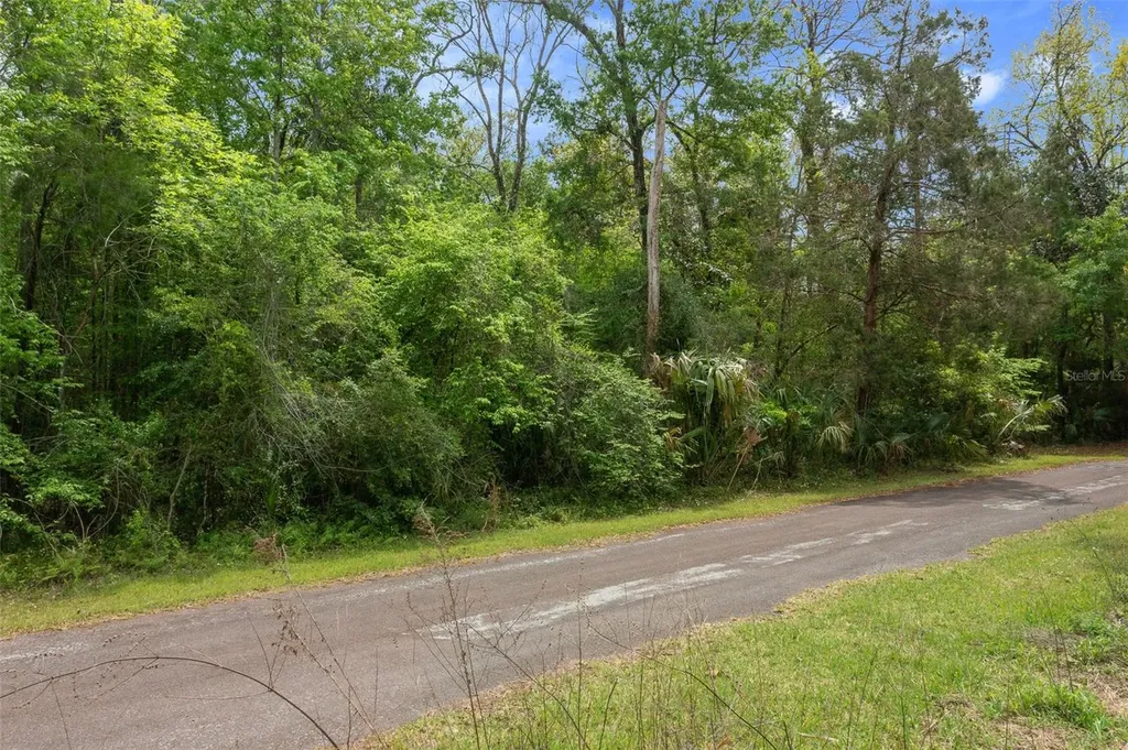 5043 S Palo Verde Point Homosassa FL 34448