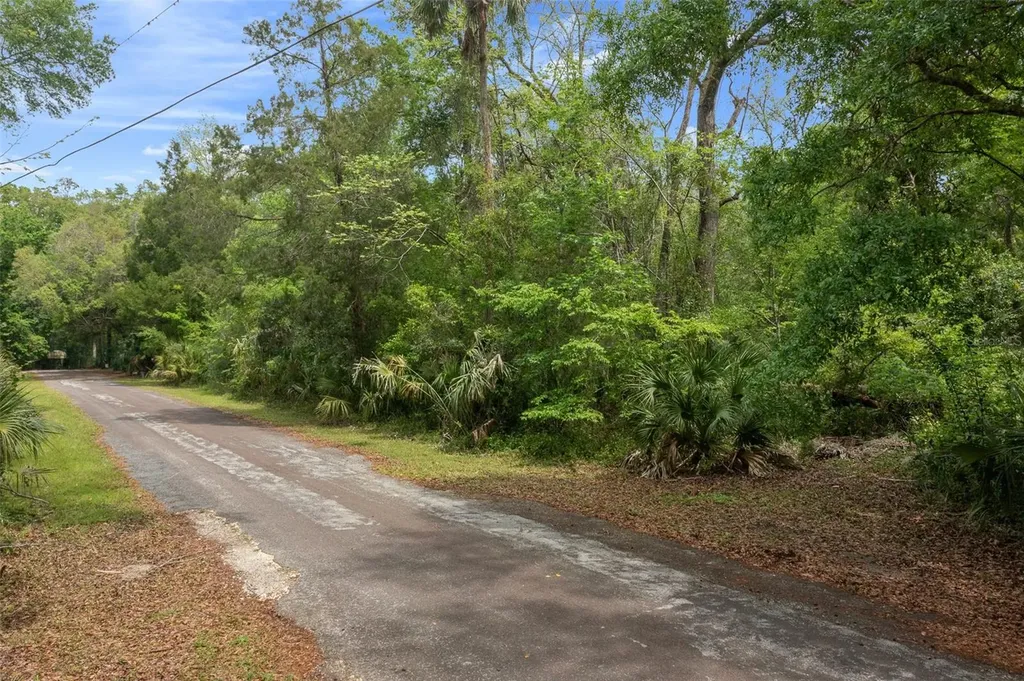 5043 S Palo Verde Point Homosassa FL 34448