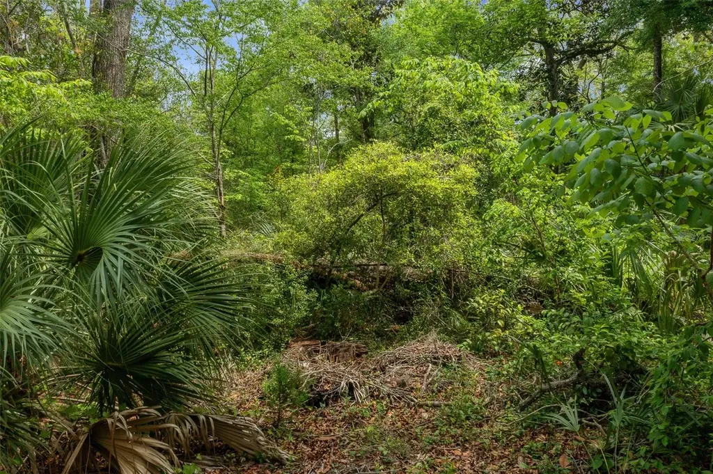 5043 S Palo Verde Point Homosassa FL 34448