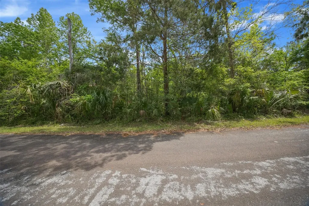 5043 S Palo Verde Point Homosassa FL 34448