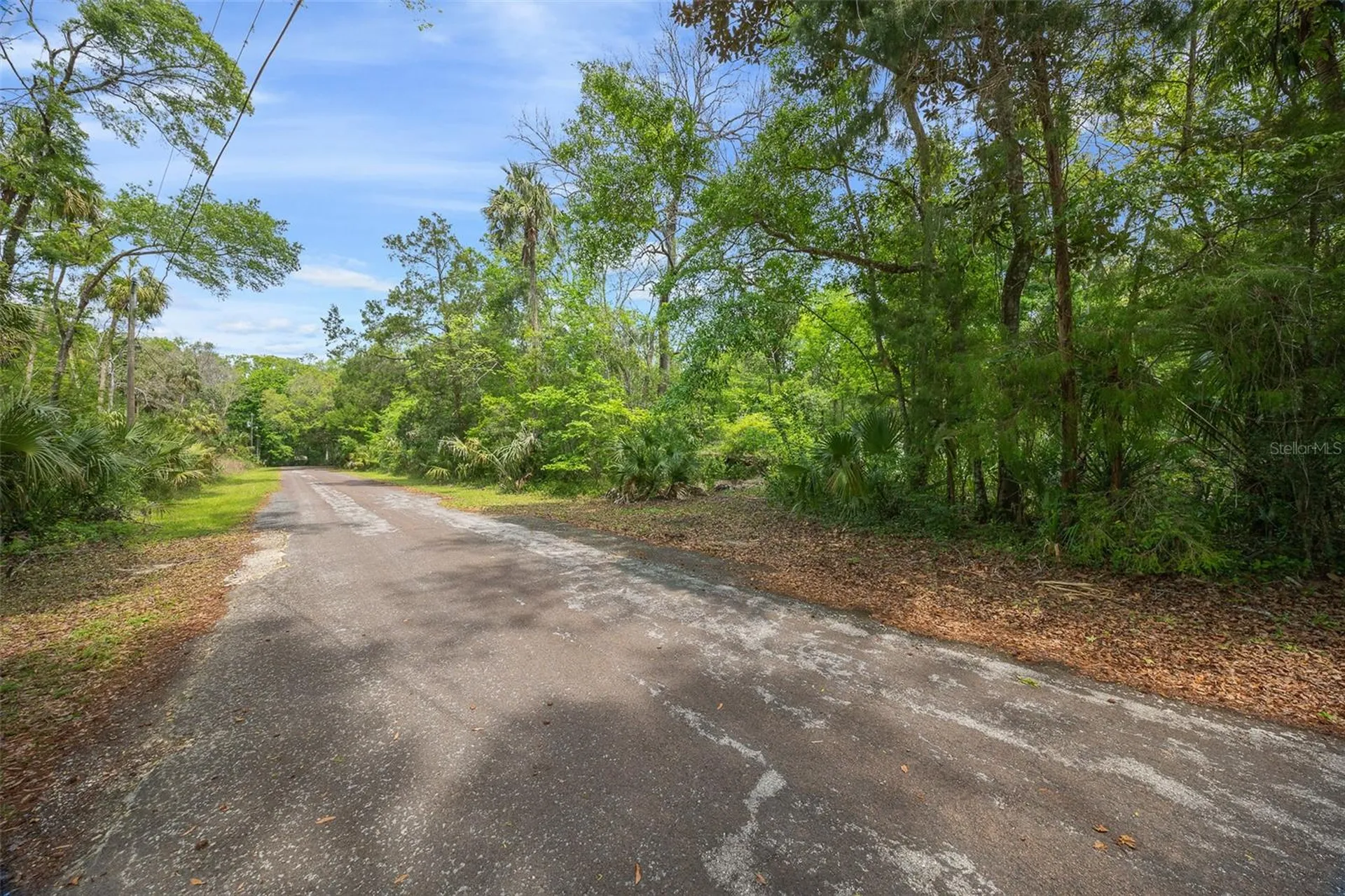 5043 S Palo Verde Point Homosassa FL 34448