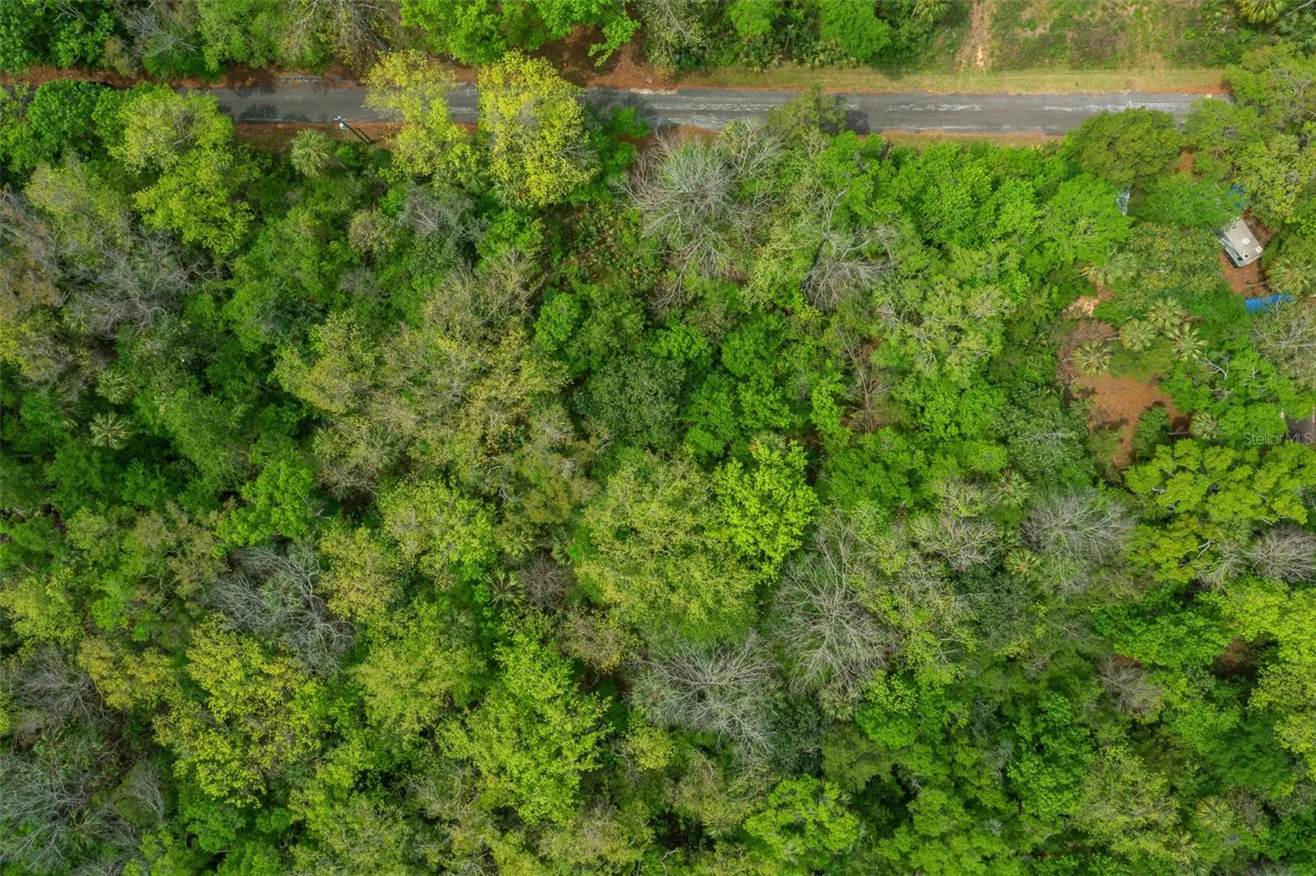 5043 S Palo Verde Point Homosassa FL 34448