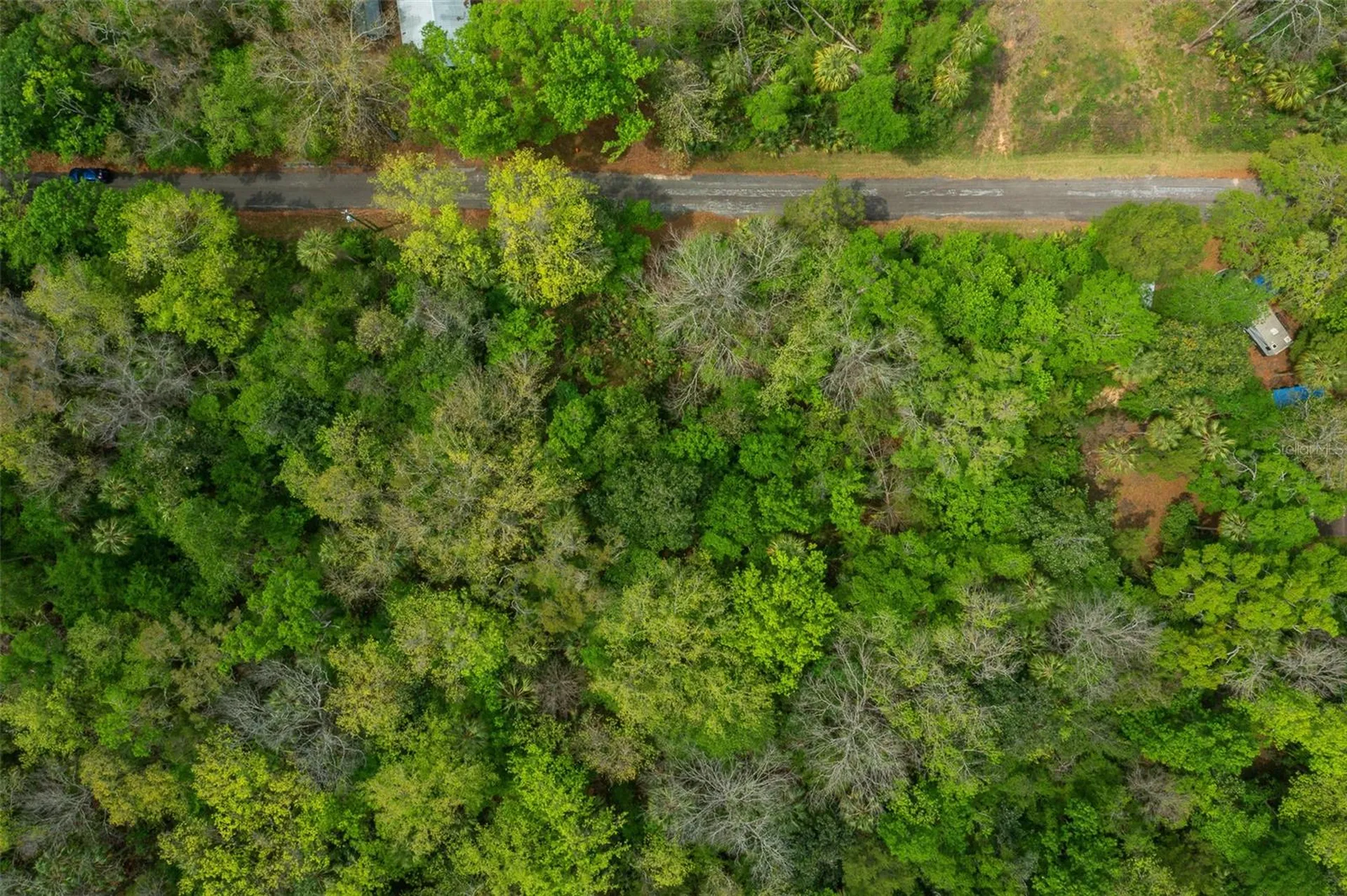 5043 S Palo Verde Point Homosassa FL 34448