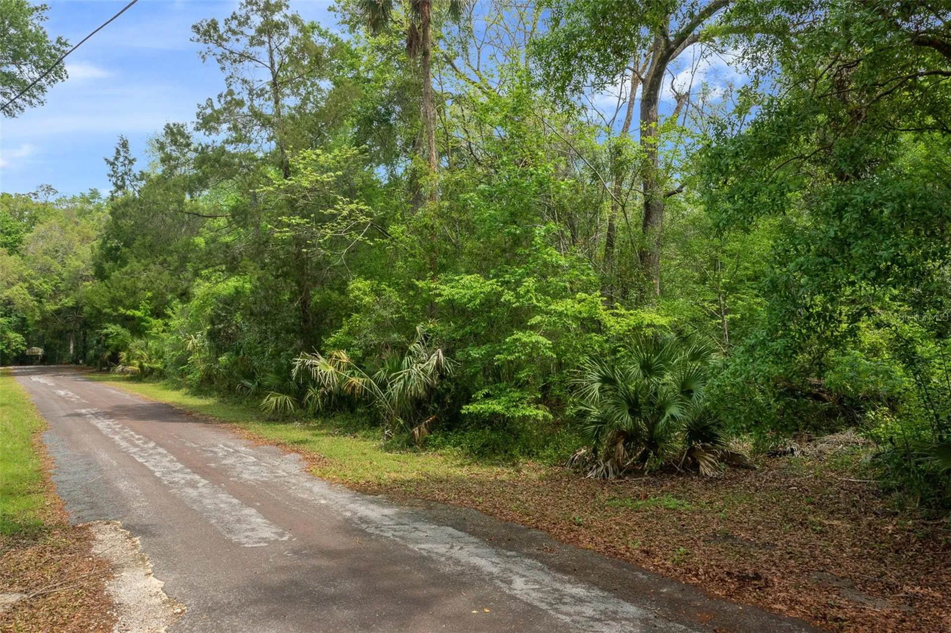 5043 S Palo Verde Point Homosassa FL 34448