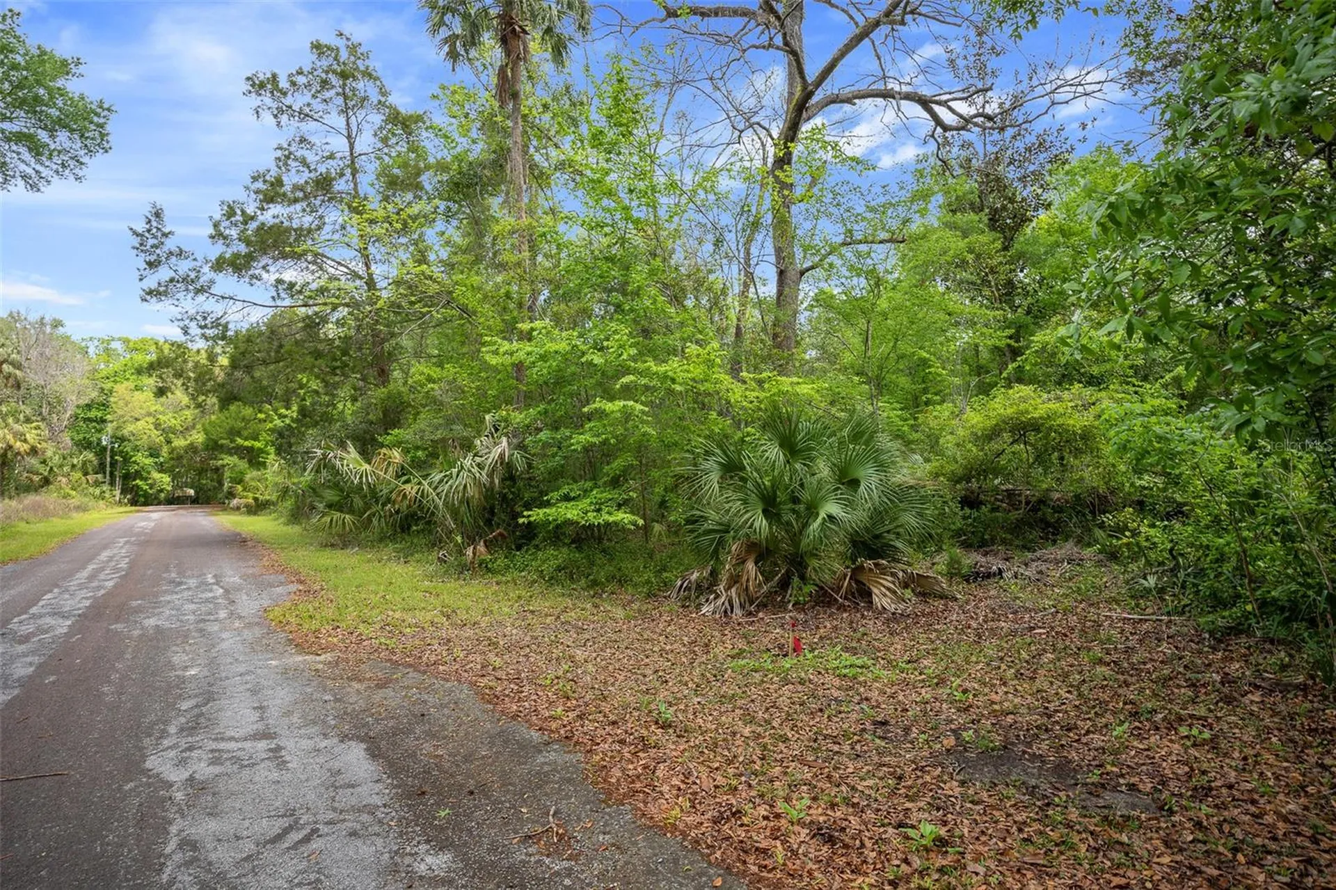 5043 S Palo Verde Point Homosassa FL 34448