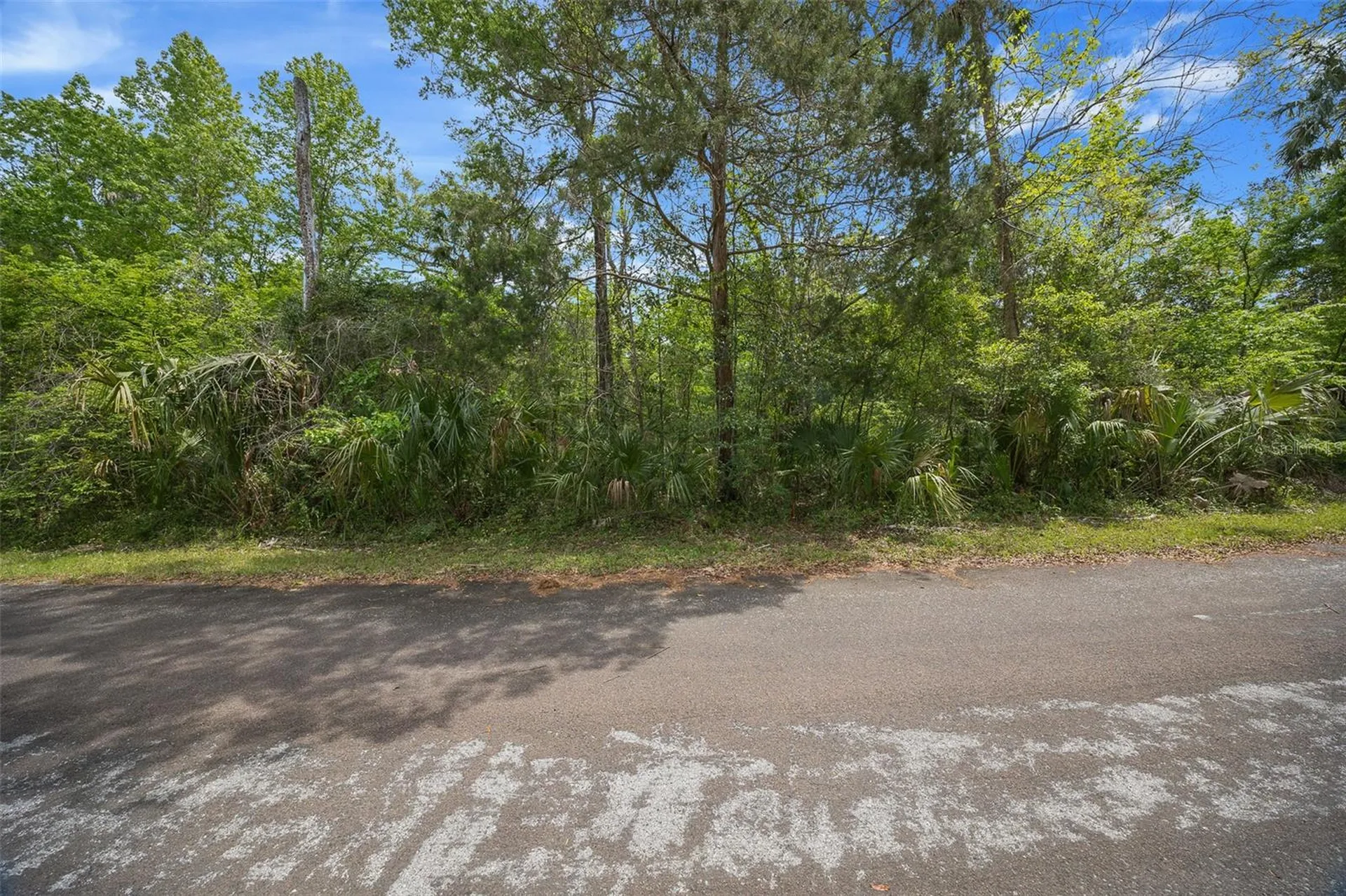 5043 S Palo Verde Point Homosassa FL 34448
