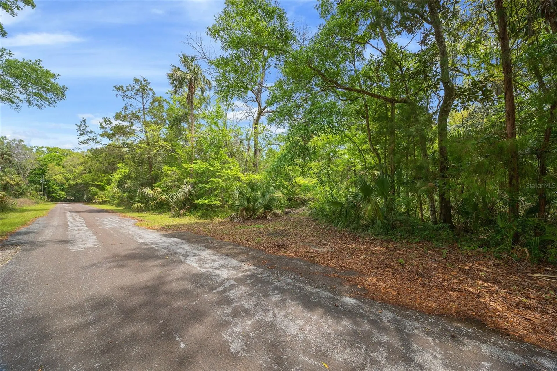 5043 S Palo Verde Point Homosassa FL 34448