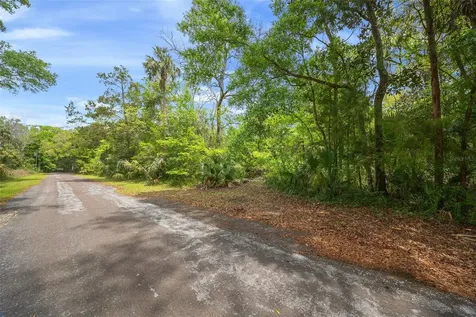 5043 S Palo Verde Point Homosassa FL 34448