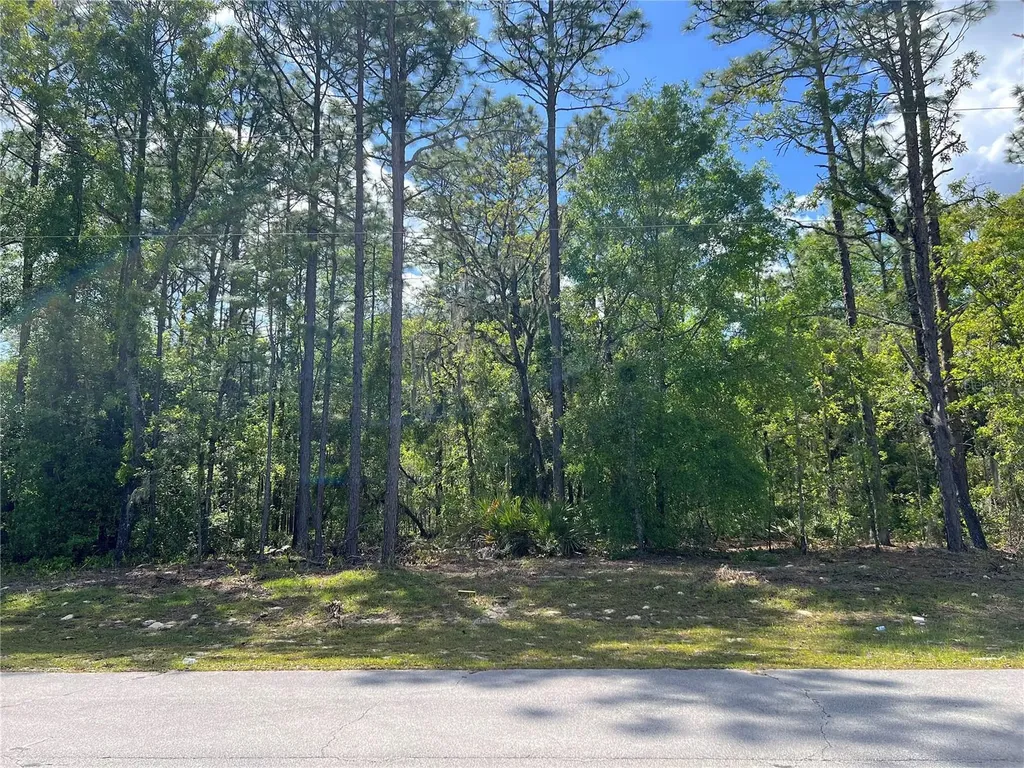 SW 89 Circle Ocala FL 34473