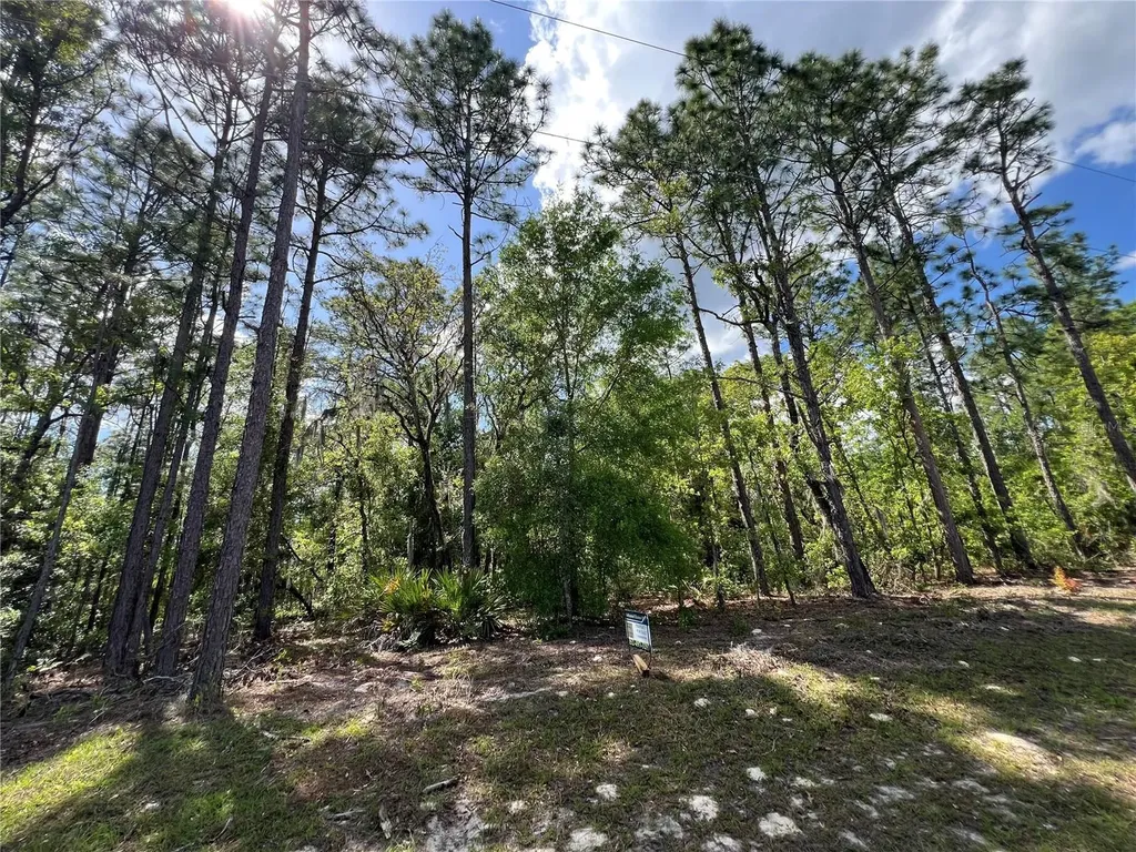 SW 89 Circle Ocala FL 34473