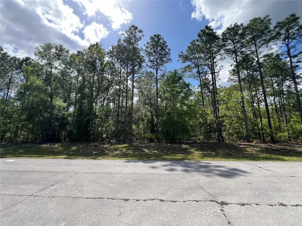 SW 89 Circle Ocala FL 34473