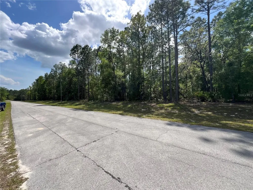 SW 89 Circle Ocala FL 34473