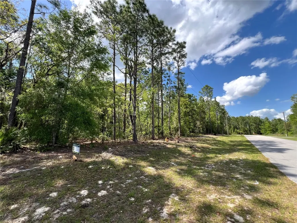 SW 89 Circle Ocala FL 34473