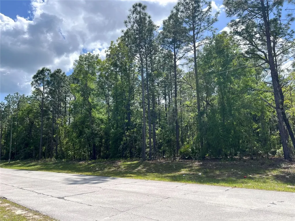 SW 89 Circle Ocala FL 34473