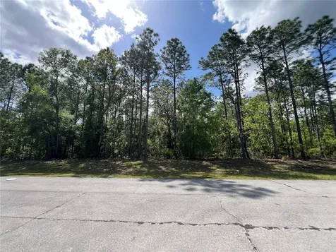 SW 89 Circle Ocala FL 34473