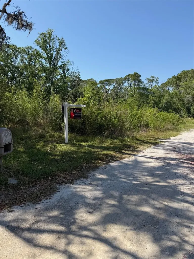 Elza Street New Port Richey FL 34654