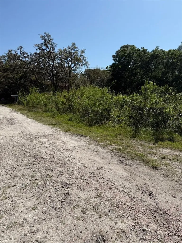 Elza Street New Port Richey FL 34654