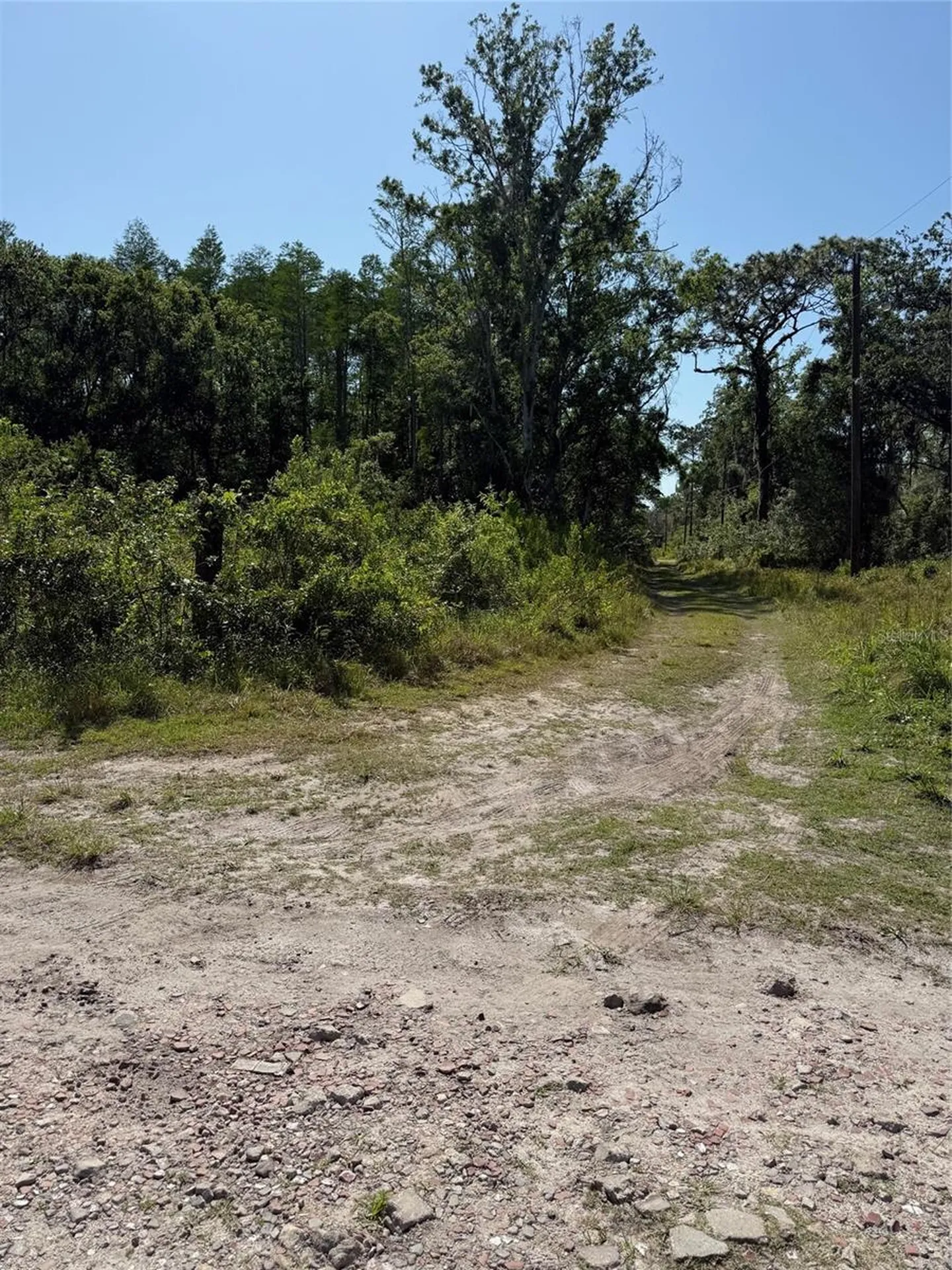 Elza Street New Port Richey FL 34654