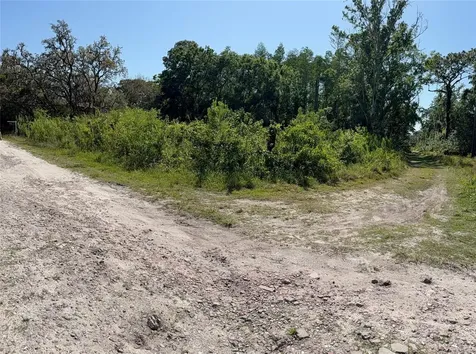Elza Street New Port Richey FL 34654