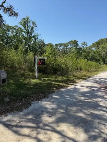 Elza Street New Port Richey FL 34654