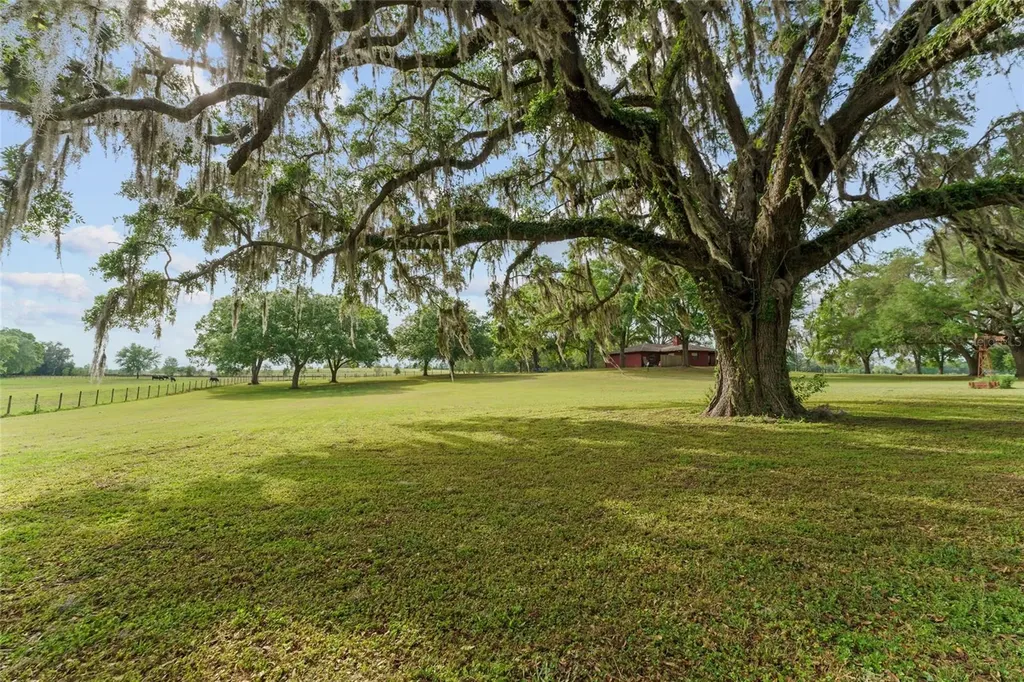 3149 SW 200th Avenue Dunnellon FL 34431