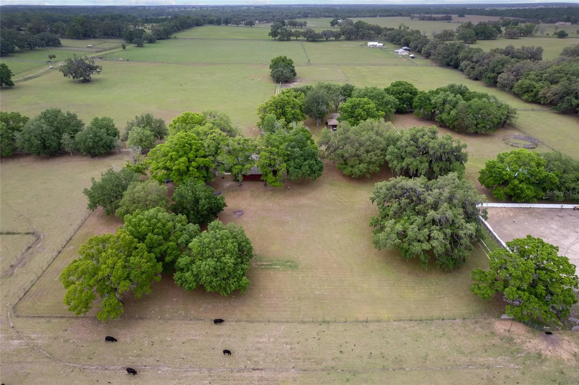 3149 SW 200th Avenue Dunnellon FL 34431