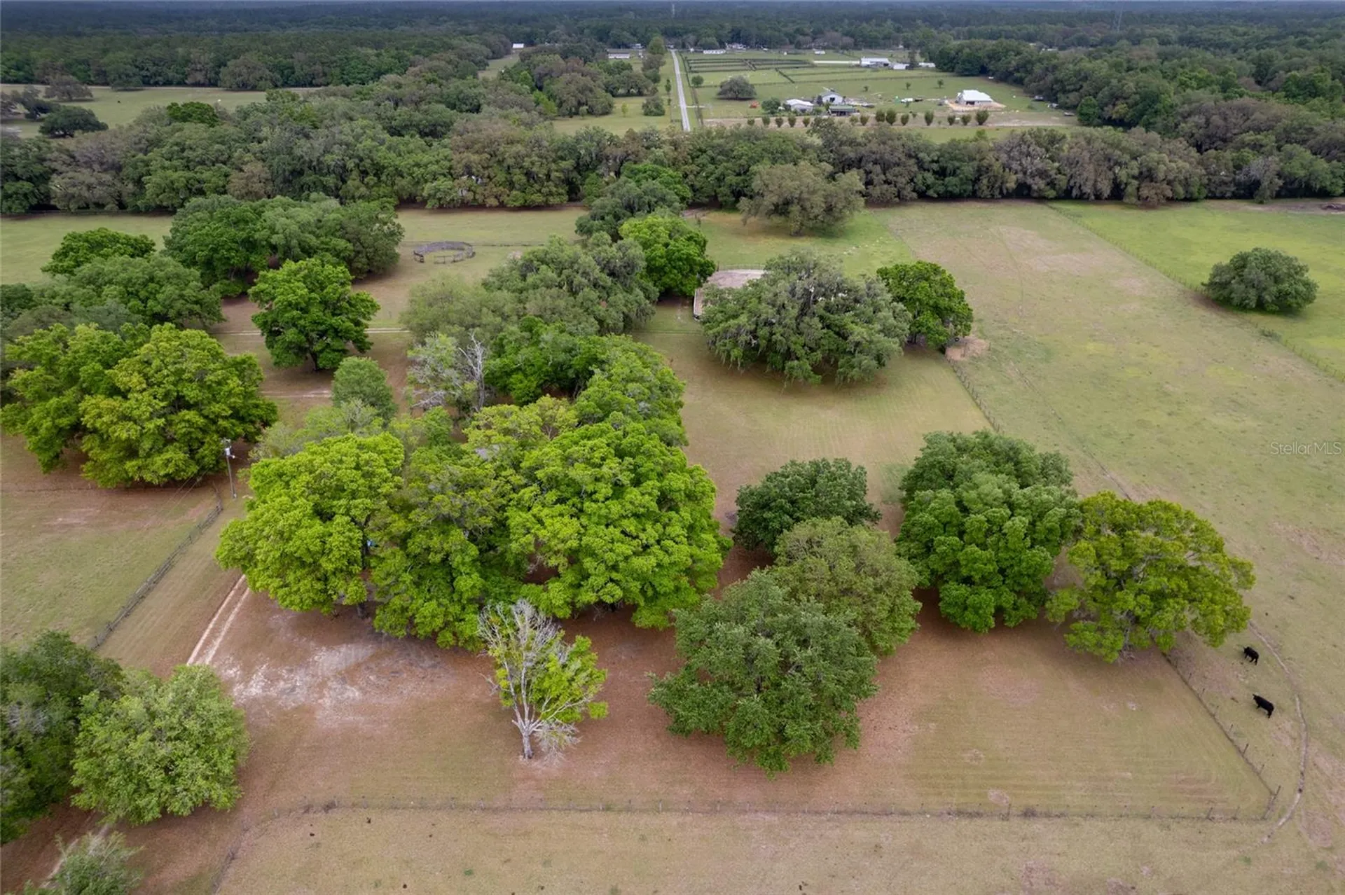 3149 SW 200th Avenue Dunnellon FL 34431