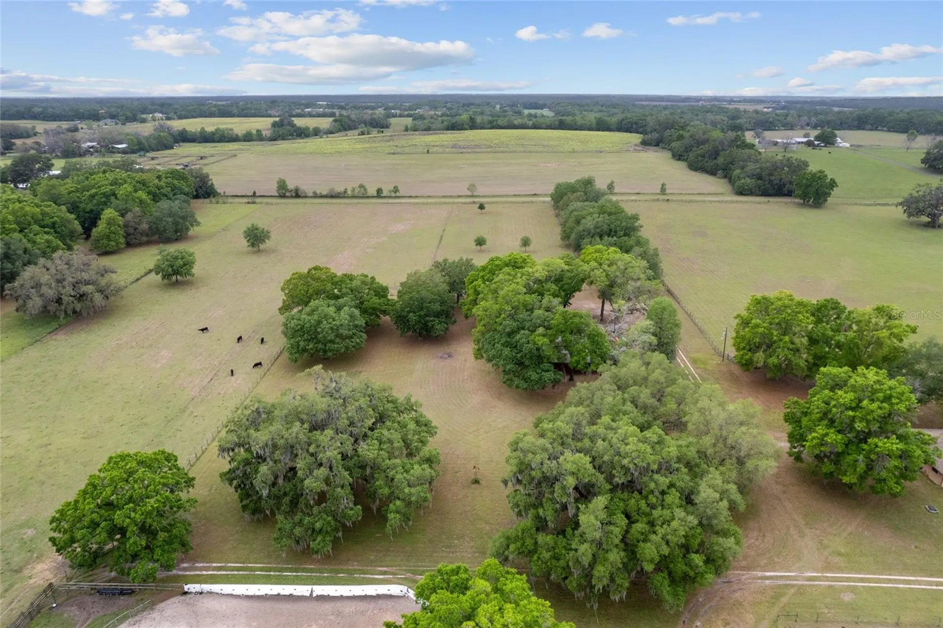3149 SW 200th Avenue Dunnellon FL 34431