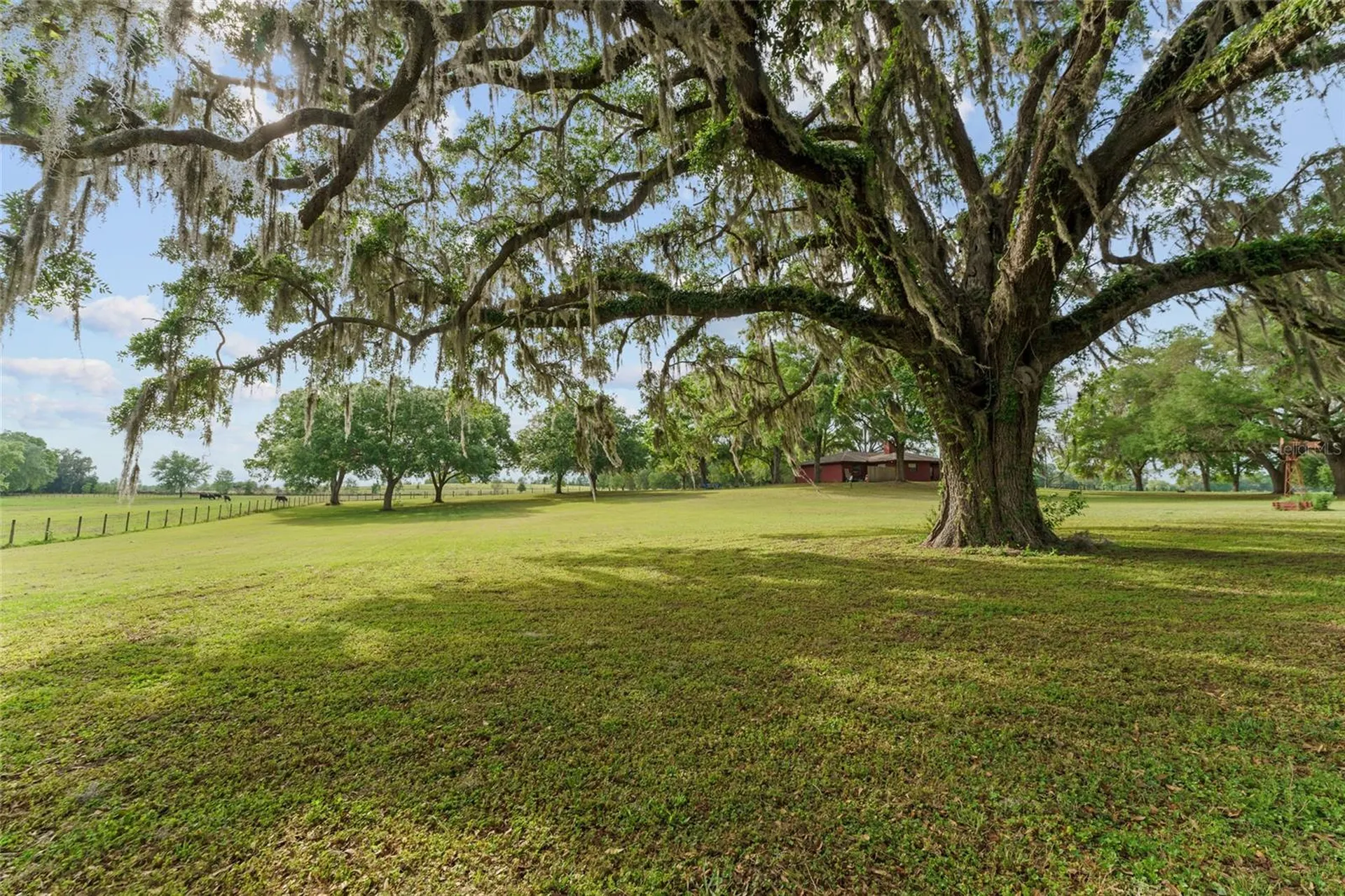 3149 SW 200th Avenue Dunnellon FL 34431
