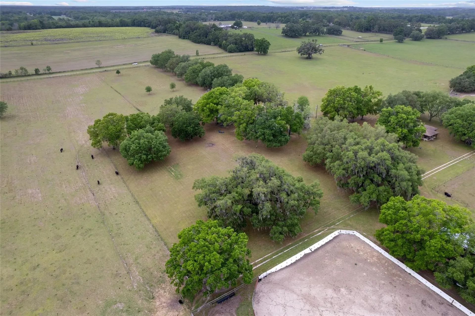 3149 SW 200th Avenue Dunnellon FL 34431