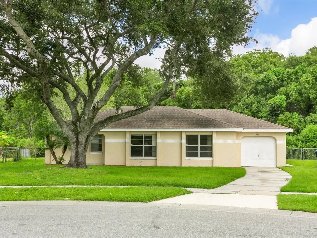 12513 Indiana Woods Lane Orlando FL 32824