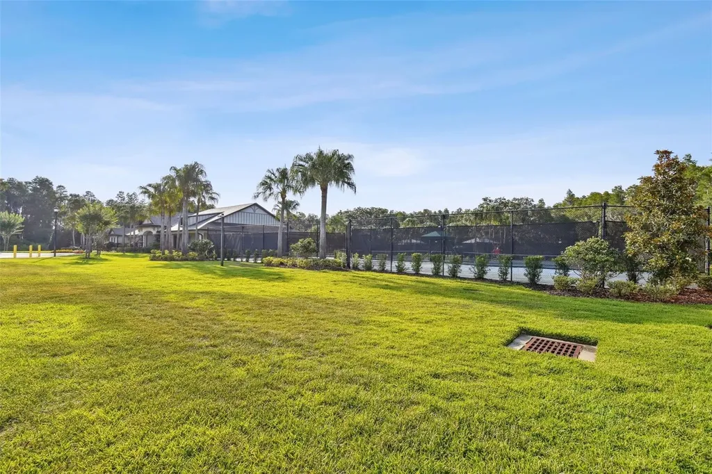 19325 Hawk Valley Drive Tampa FL 33647