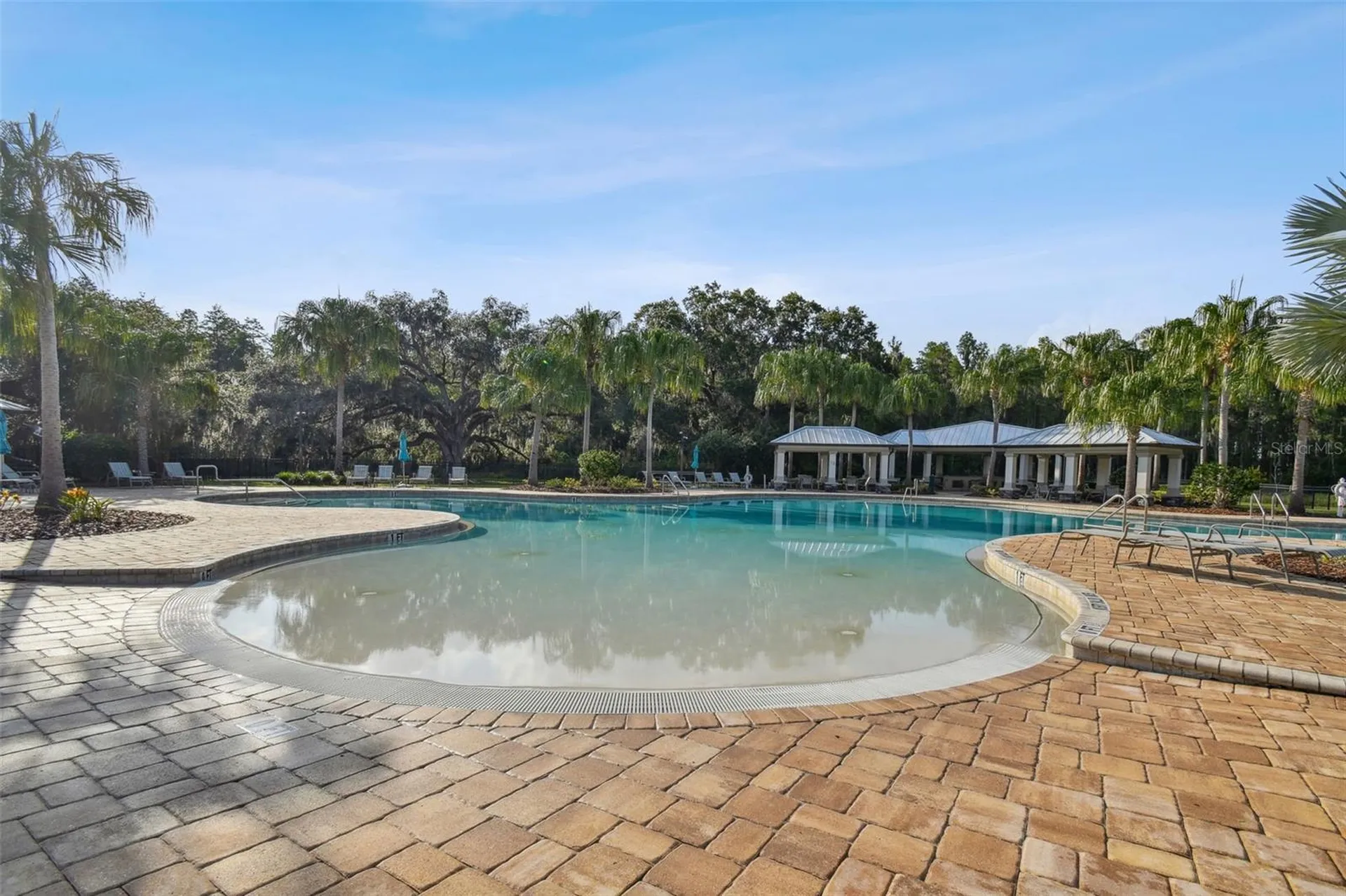 19325 Hawk Valley Drive Tampa FL 33647