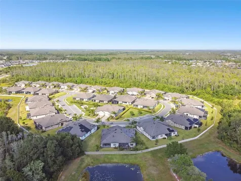19325 Hawk Valley Drive Tampa FL 33647