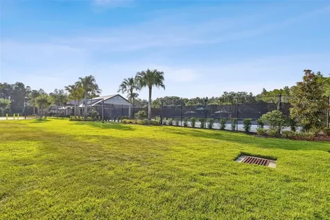 19325 Hawk Valley Drive Tampa FL 33647