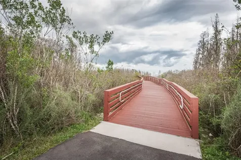3515 Albritton Street New Port Richey FL 34655