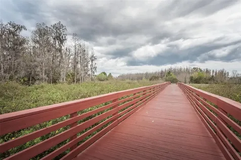 3515 Albritton Street New Port Richey FL 34655